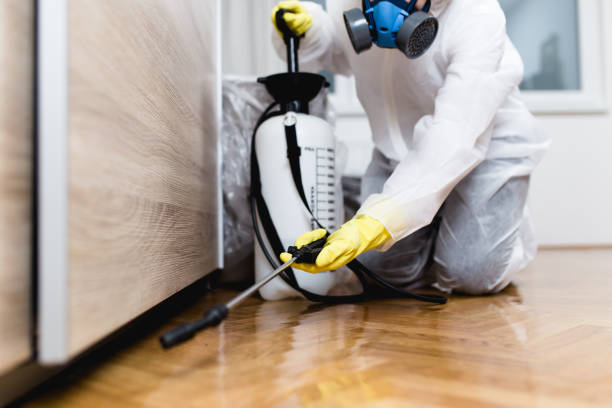 Professional Pest Control in Ken Caryl, CO