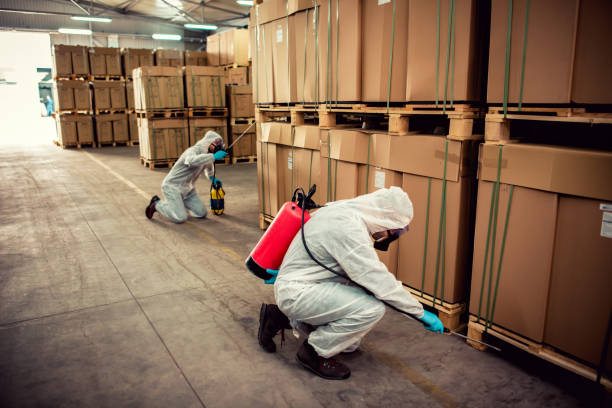 Best Pest Prevention Services  in Ken Caryl, CO