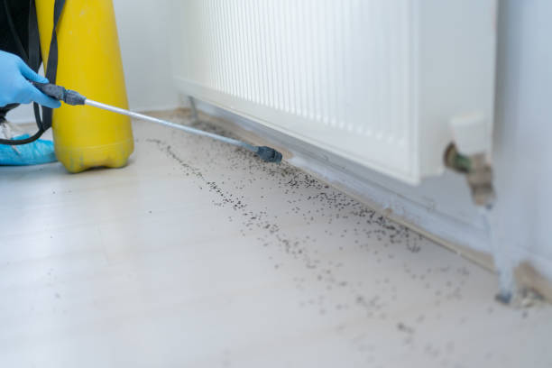 Best Pest Removal Services  in Ken Caryl, CO